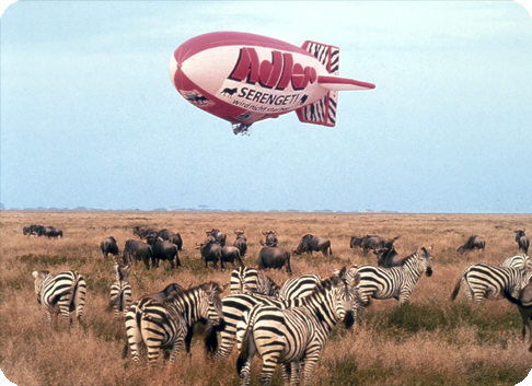 Gefa-Flug: Serengeti wird nicht sterben